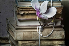 giovanni_ruggeri_fotografo_atelier_fotografico_catania_foto_provocazioni_1_8-scaled