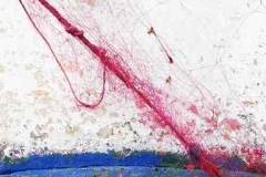 giovanni_ruggeri_fotografo_atelier_fotografico_catania_foto_provocazioni_3