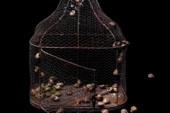 giovanni_ruggeri_foto_visionarie_5-scaled